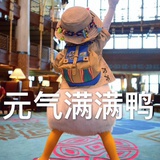 用户掉线中……