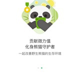 溪流