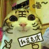 没头脑