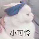 碎碎