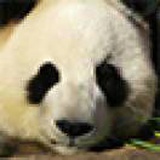 雪白透亮