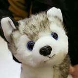 梦醒时花落谁家