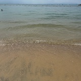 水木三生