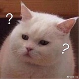 宁萌