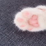 奶渍板栗