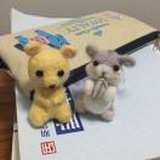 米亚亚