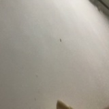 豆瓣超级江湖骗子