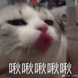喵喵喵？