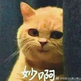 妙了个喵
