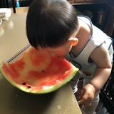 杏月