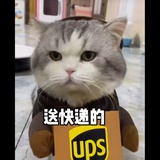 缘一