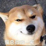一本正经の汪man