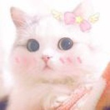 大壮🌸