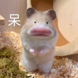 新酒