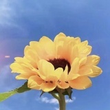 吃瓜路人唐薇薇