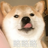 豆友183550988