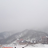 randal冲鸭