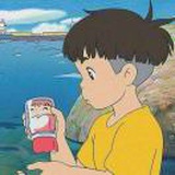 春紫菀