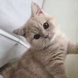 Ni呦二