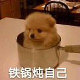 一只肥