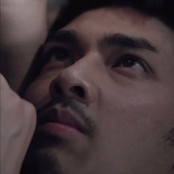途风之林