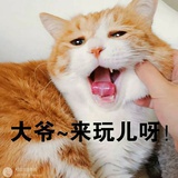 孙雨非