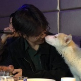 除恶务尽