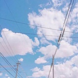 树洞先森