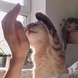 超级江湖骗子