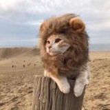 Moomay