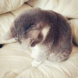 听雪轻吟