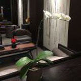 敏
