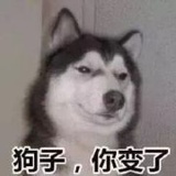 亲亲宝贝6536746