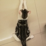 呐呐