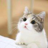Mina的小窝