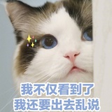 Joy_yu