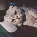 _无趣得很