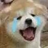 白无