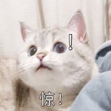 不可能