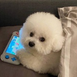 啦