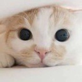 一月