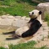 袁天罡