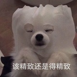 不吃兔兔TT