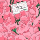 一颗橙子菌