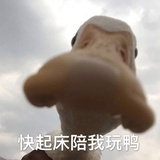 皮皮鸭