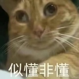 红酒牛肉怎么吃