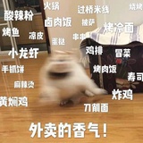 我就是爱吃零食