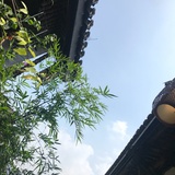 资讯新发现