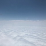 刘亦菲