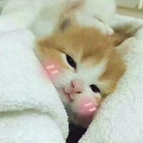 闻人东方